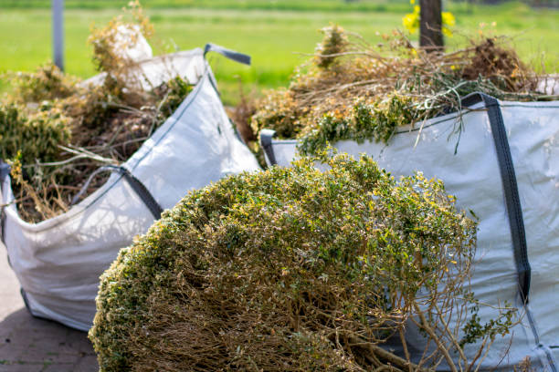 Best Junk Hauling Services  in Seeley Lake, MT
